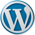 WordPress外贸建站专家
