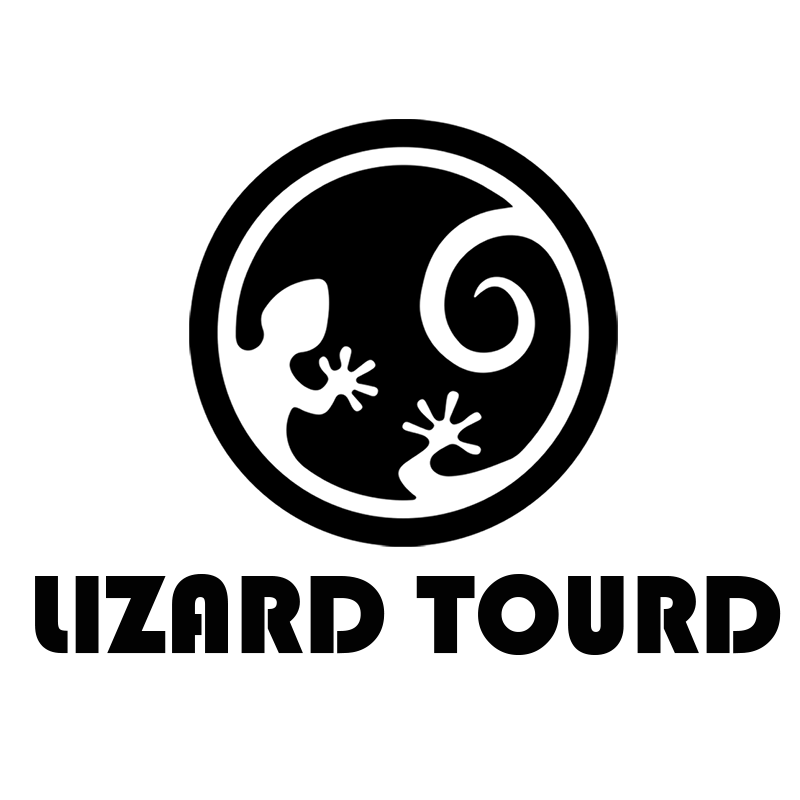 LIZARD TOUR外设之旅