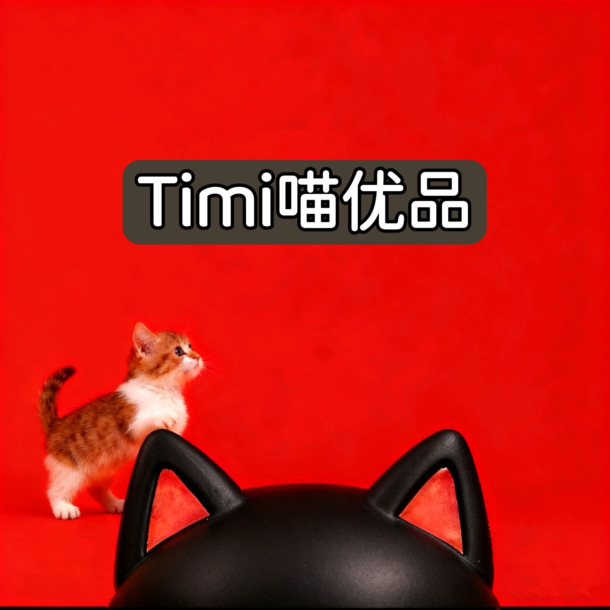 Timi喵宠物店