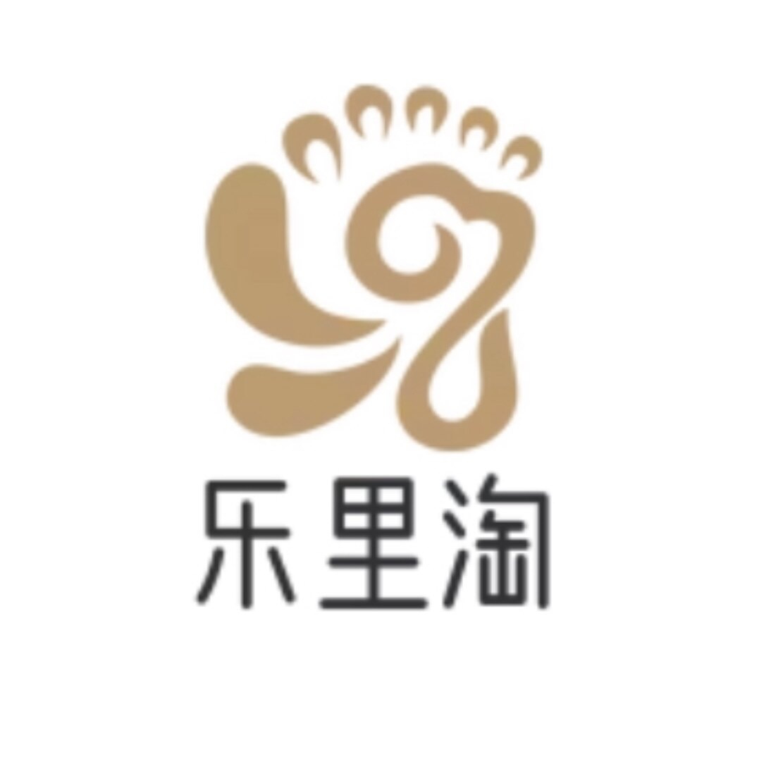 乐里淘电子科技