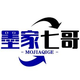 墨家七哥地磅电子秤防控仪器