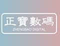 正宝数码