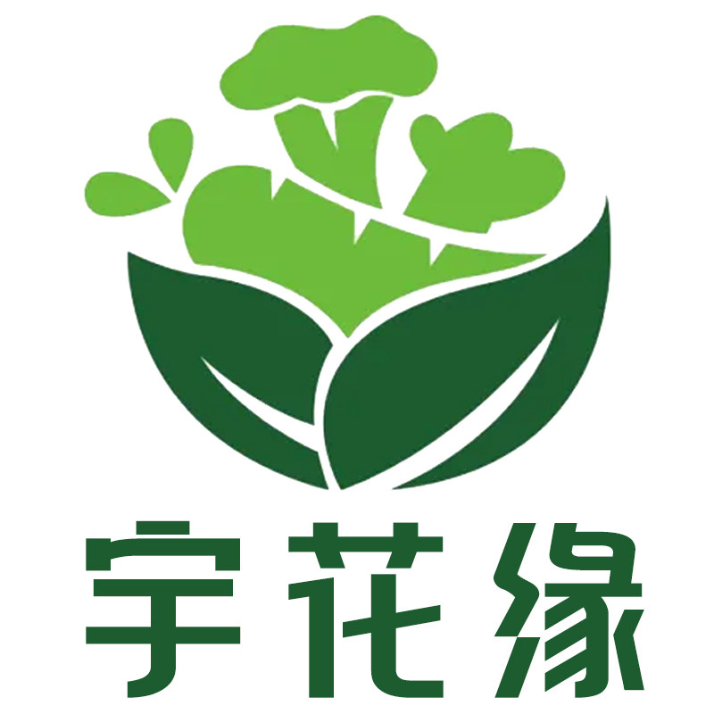 宇花缘花卉基地