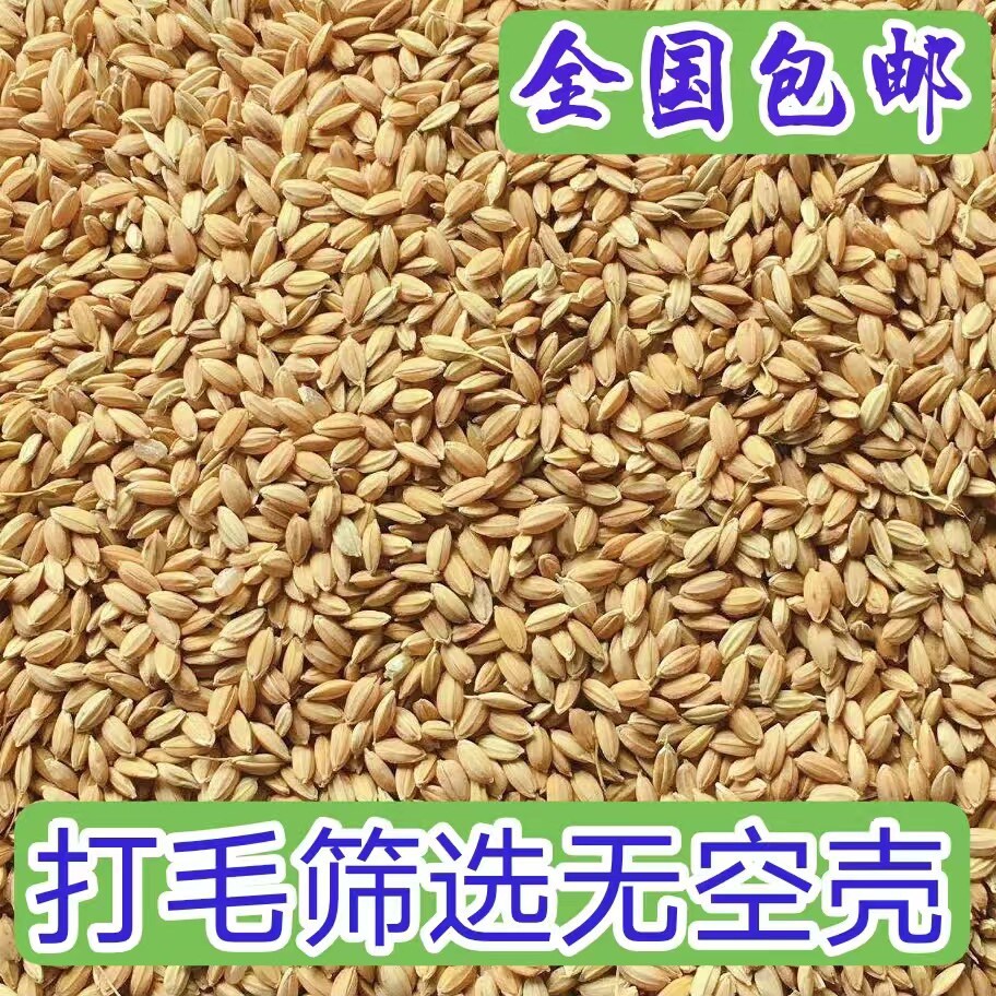 王思雨的小店 店铺LOGO