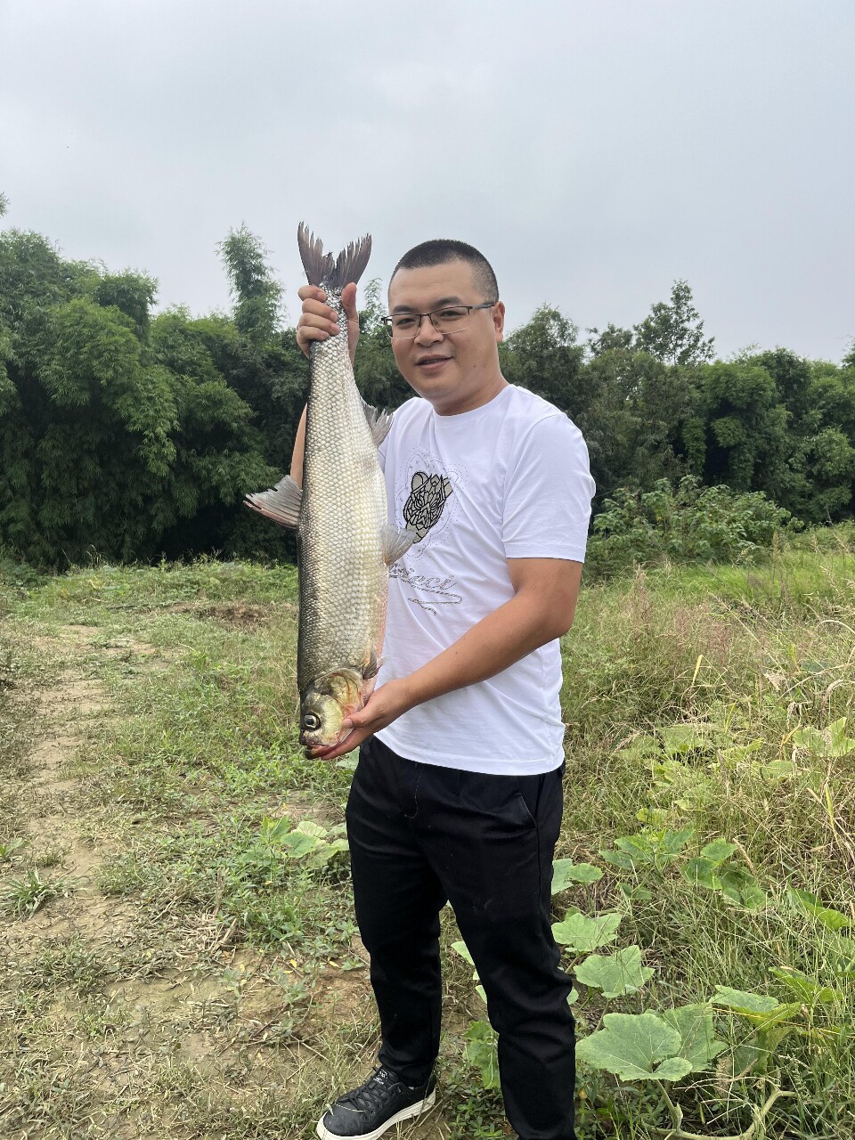 眉山渔百家鱼苗批发