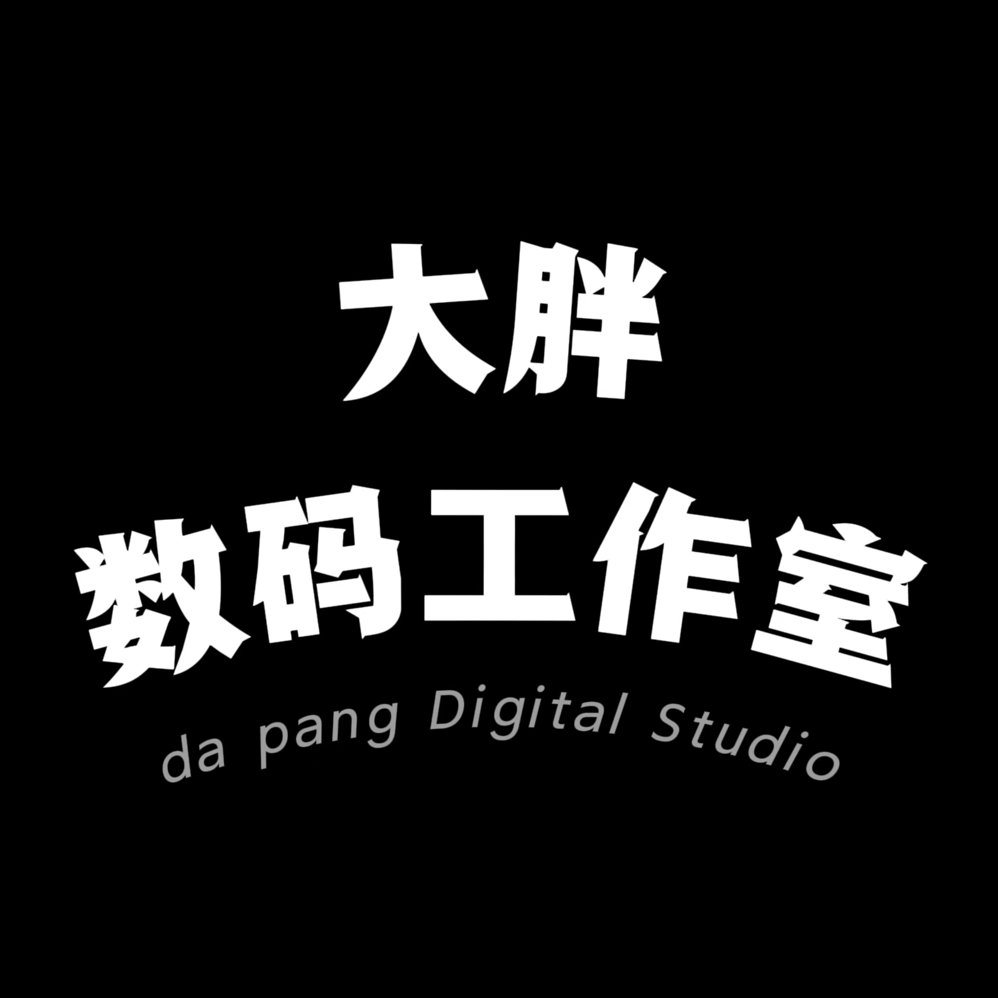 大胖数码工作室