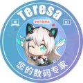 泰丽莎旗舰店
