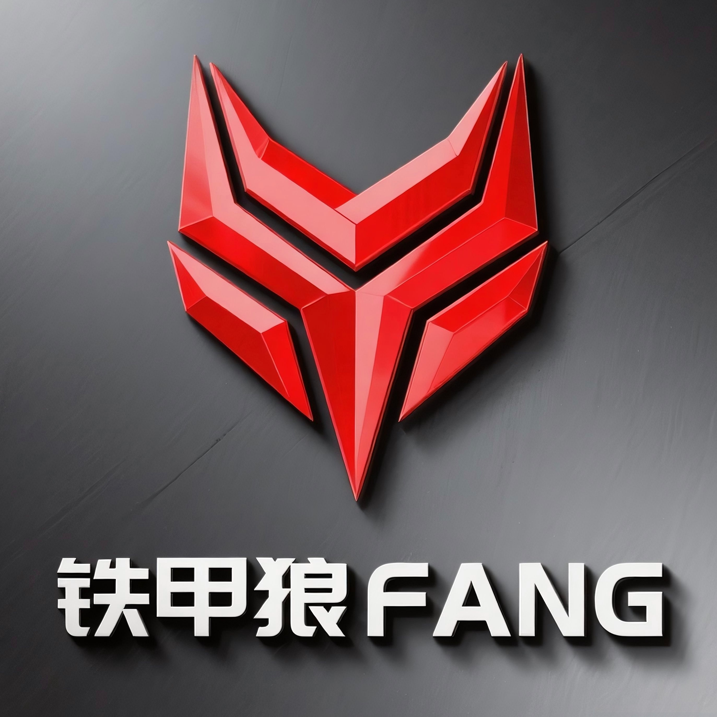 铁甲狼战术装备