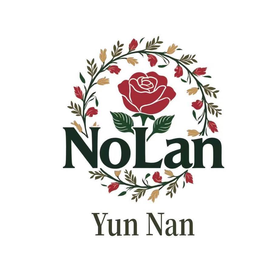 诺兰花卉
