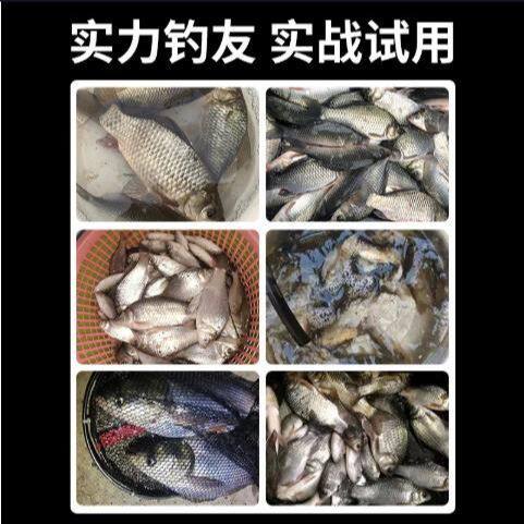 渔之家鱼具