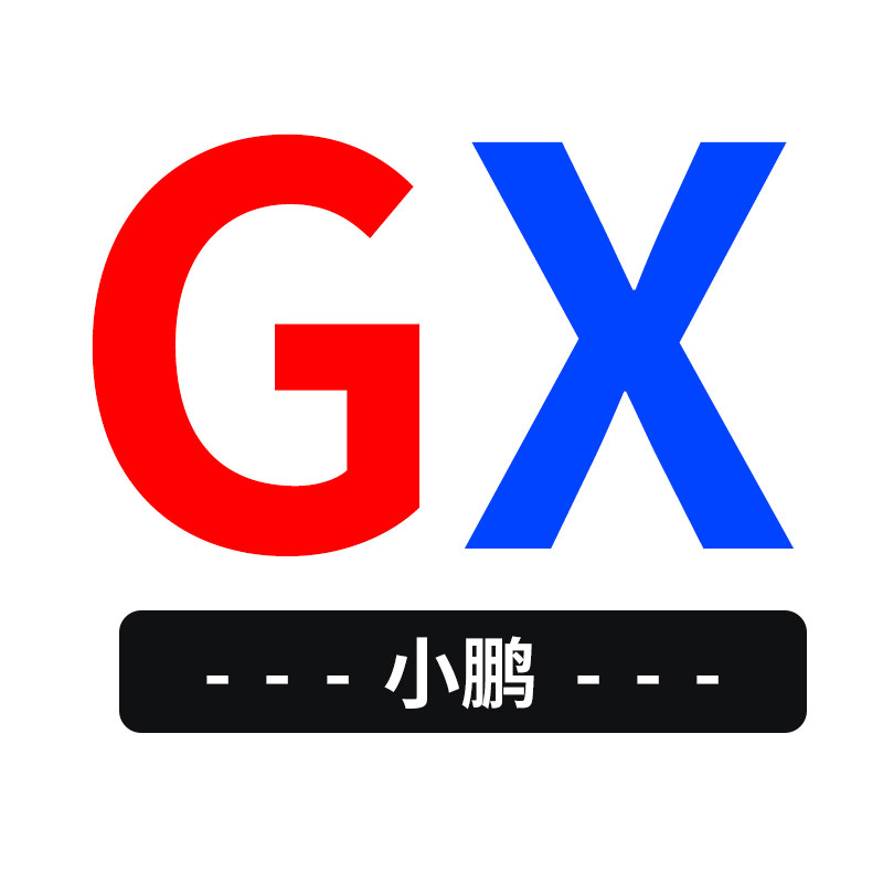 澳特小鹏GX征战店