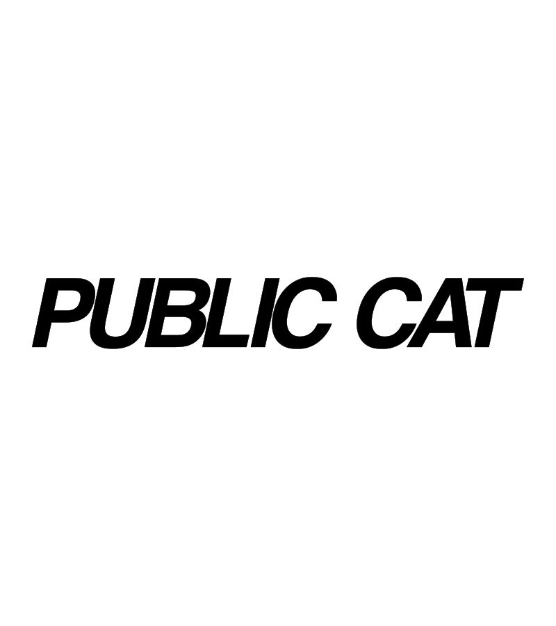 公务猫PUBLIC CAT