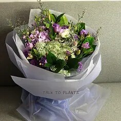 徐州黄白菊花基地直销