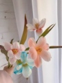 薇阁花坊