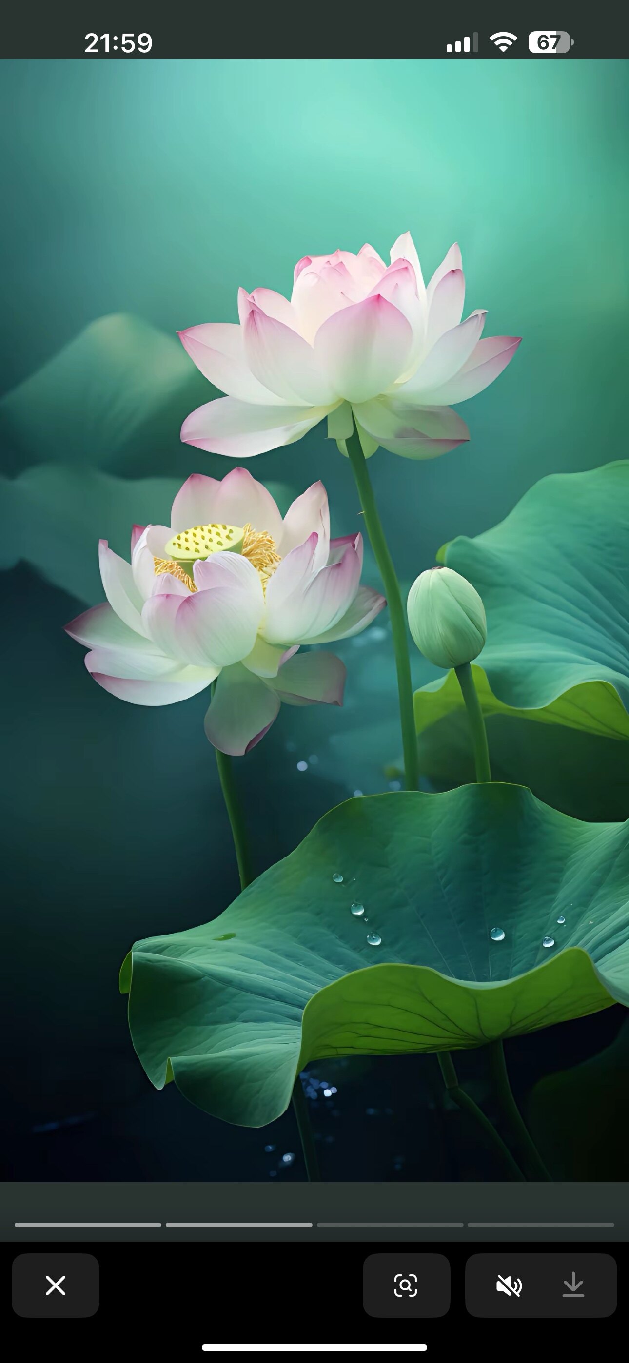 静心修禅