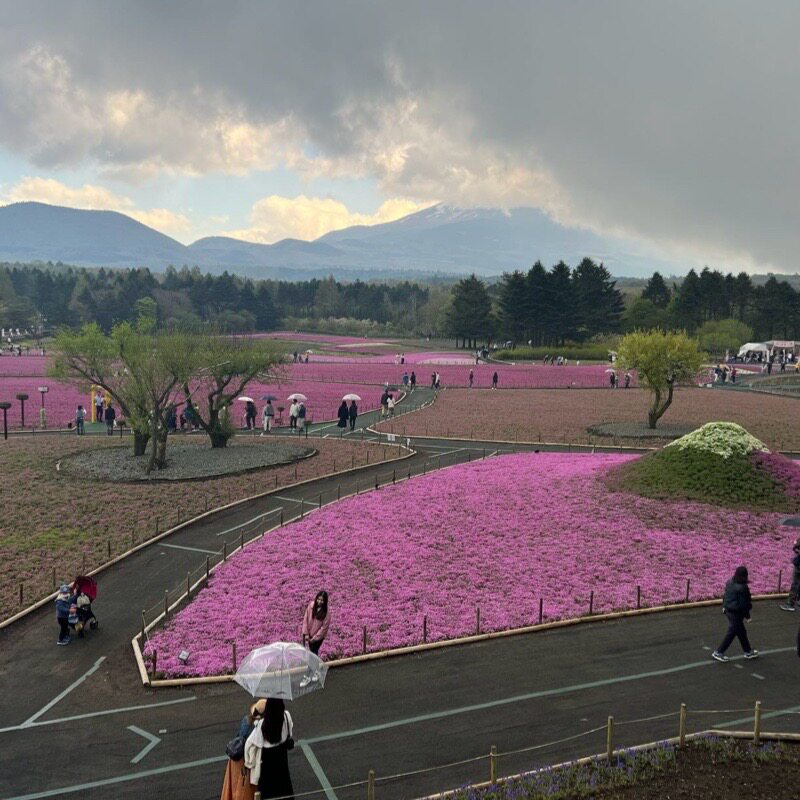 林公子海淘二号店
