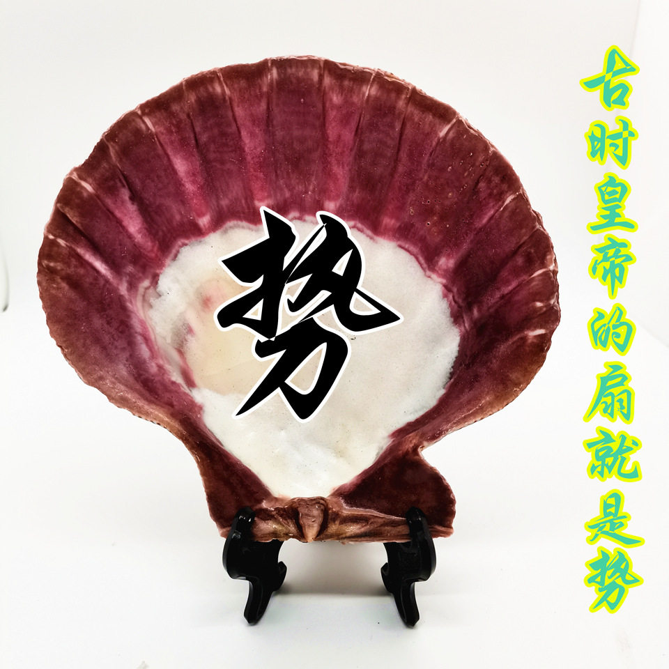 兴达贝壳