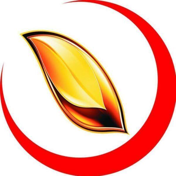 金叶子家居 店铺LOGO