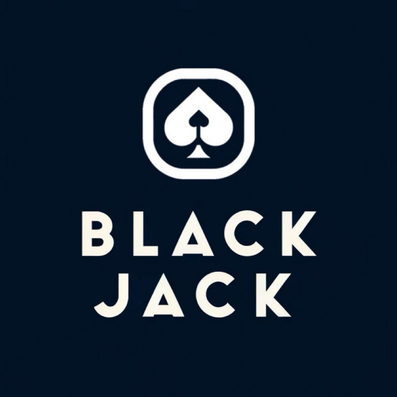 BLACK JACK 黑杰克滑雪护脸