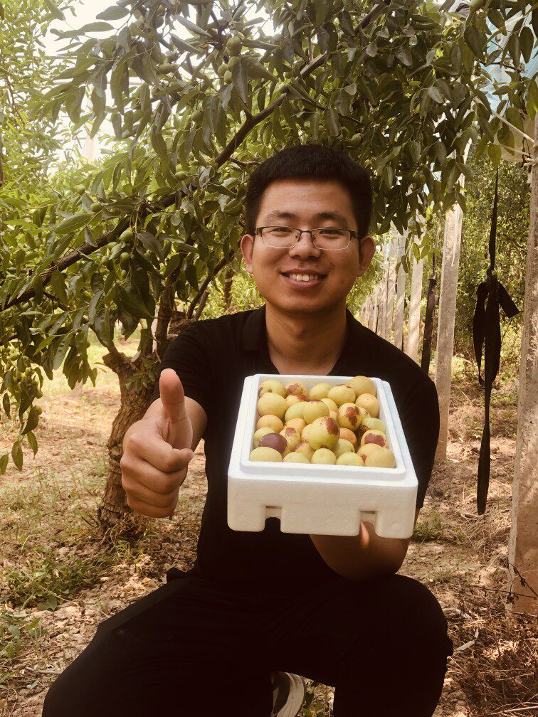 枣十八冬枣大荔产地直发企业店