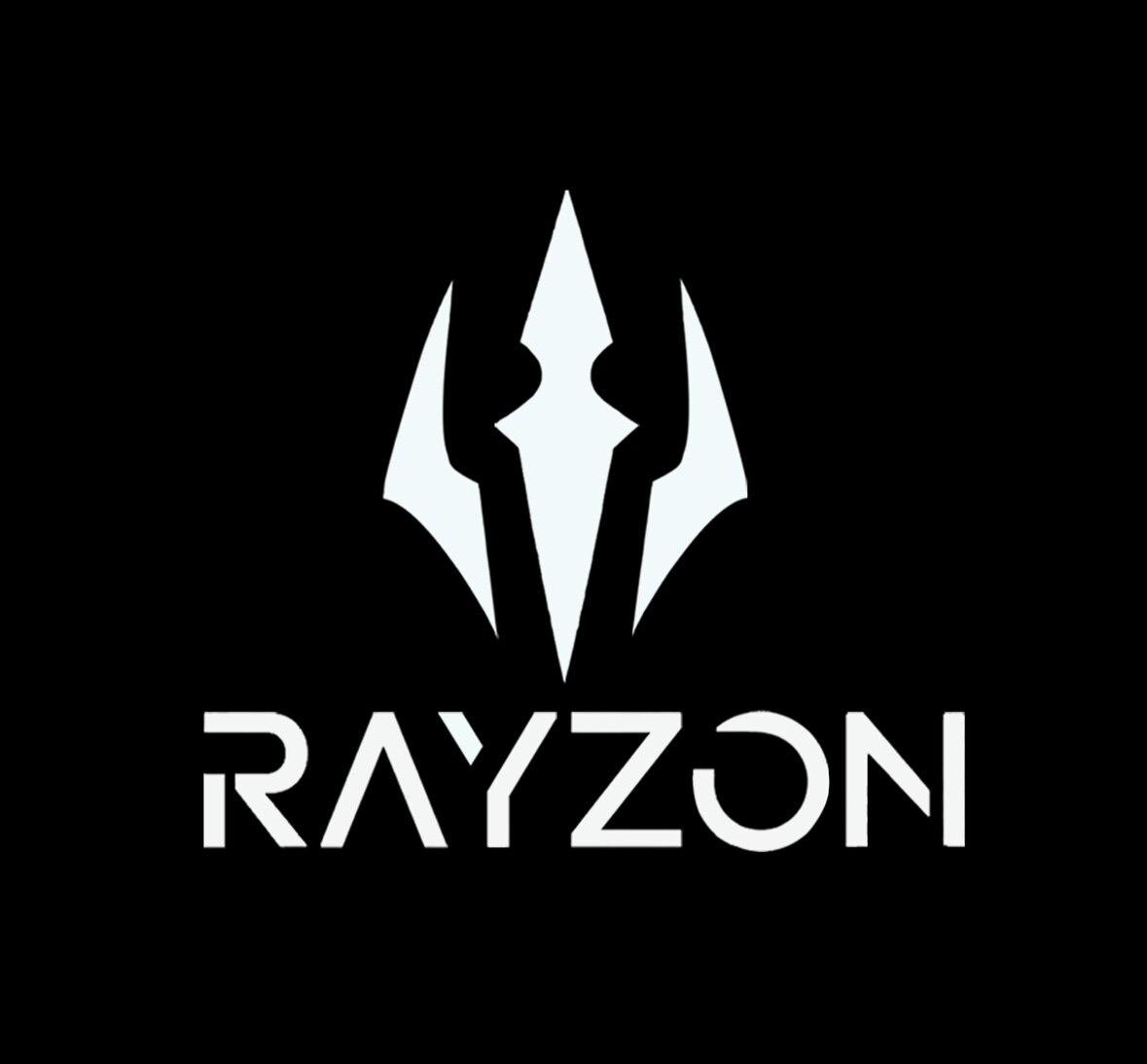 Rayzon游刃电竞 店铺LOGO