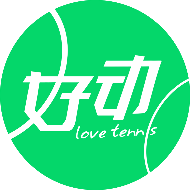 好动网球官方店