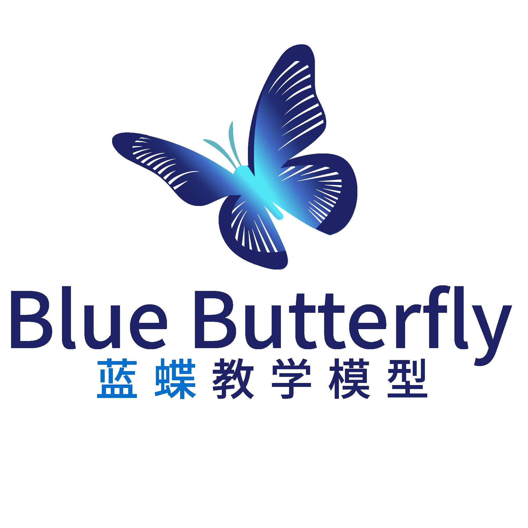 蓝蝶医学模型厂