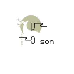 Voson 沃森