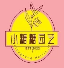 小糖糖园艺
