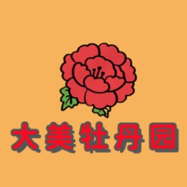洛阳大美牡丹种植基地
