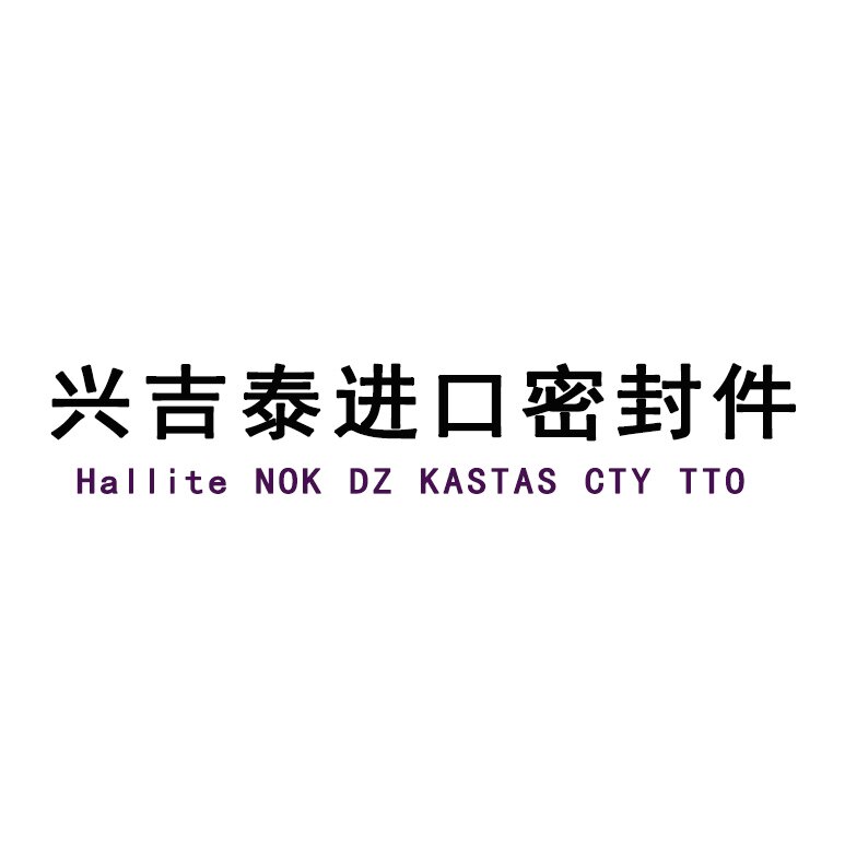兴吉泰进口密封件