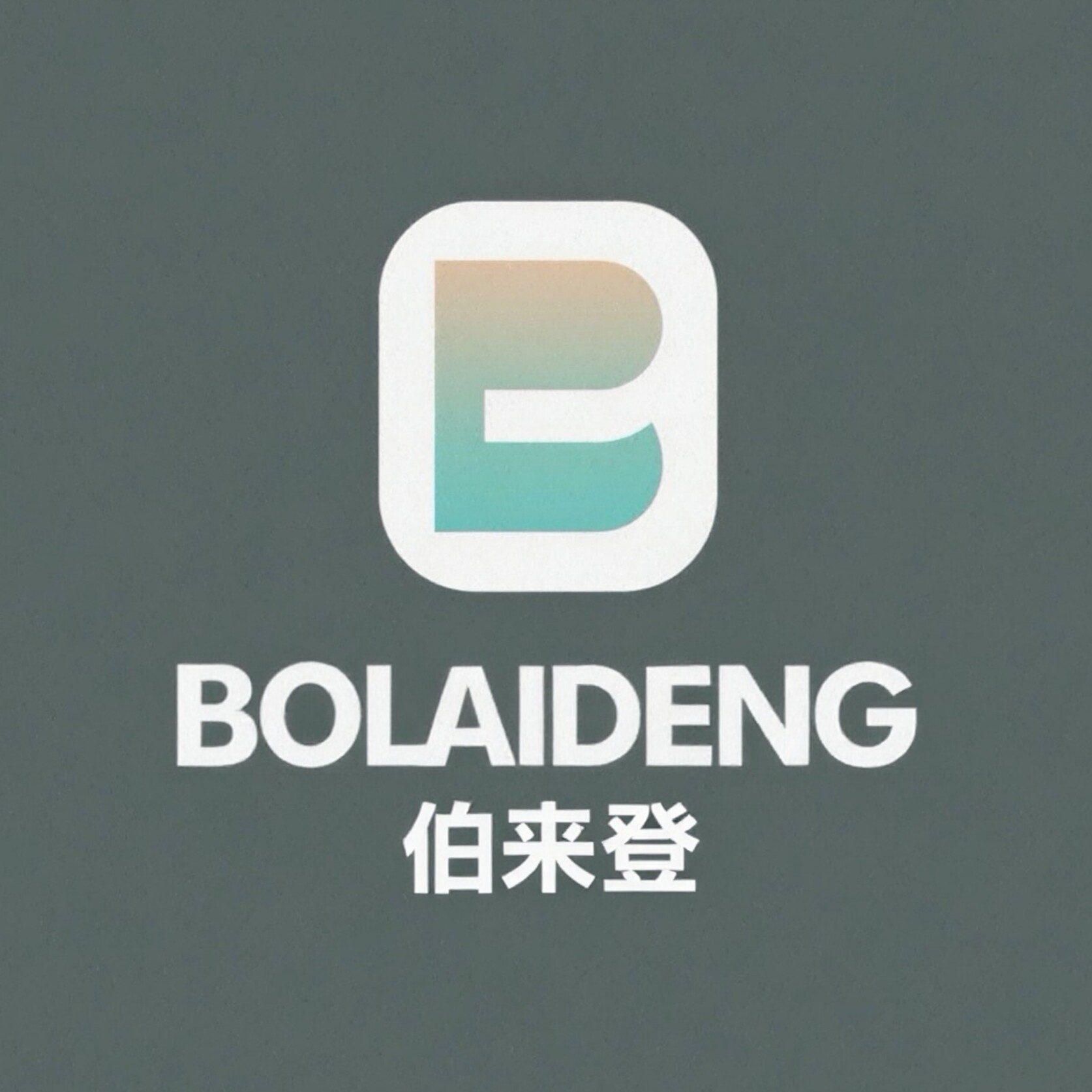 伯来登男装 店铺LOGO