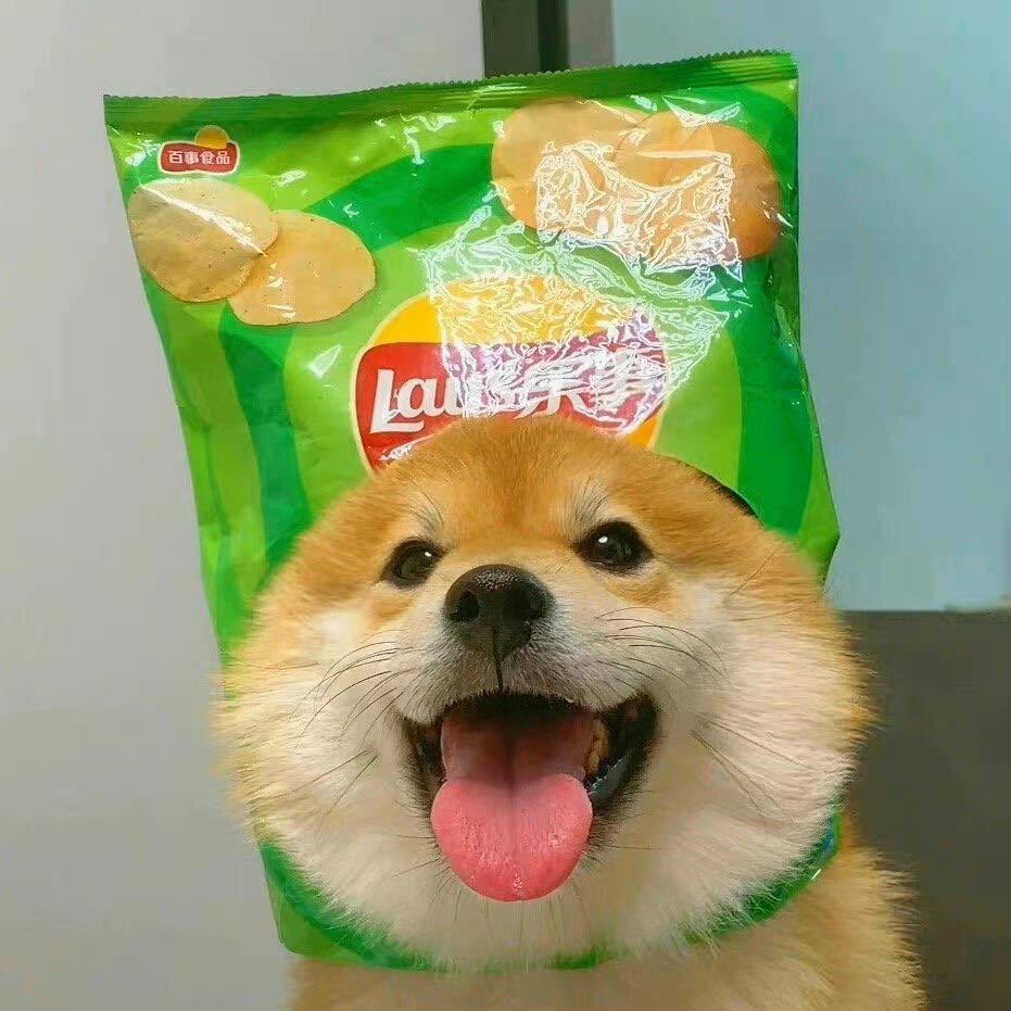 一口五个蛋挞 店铺LOGO