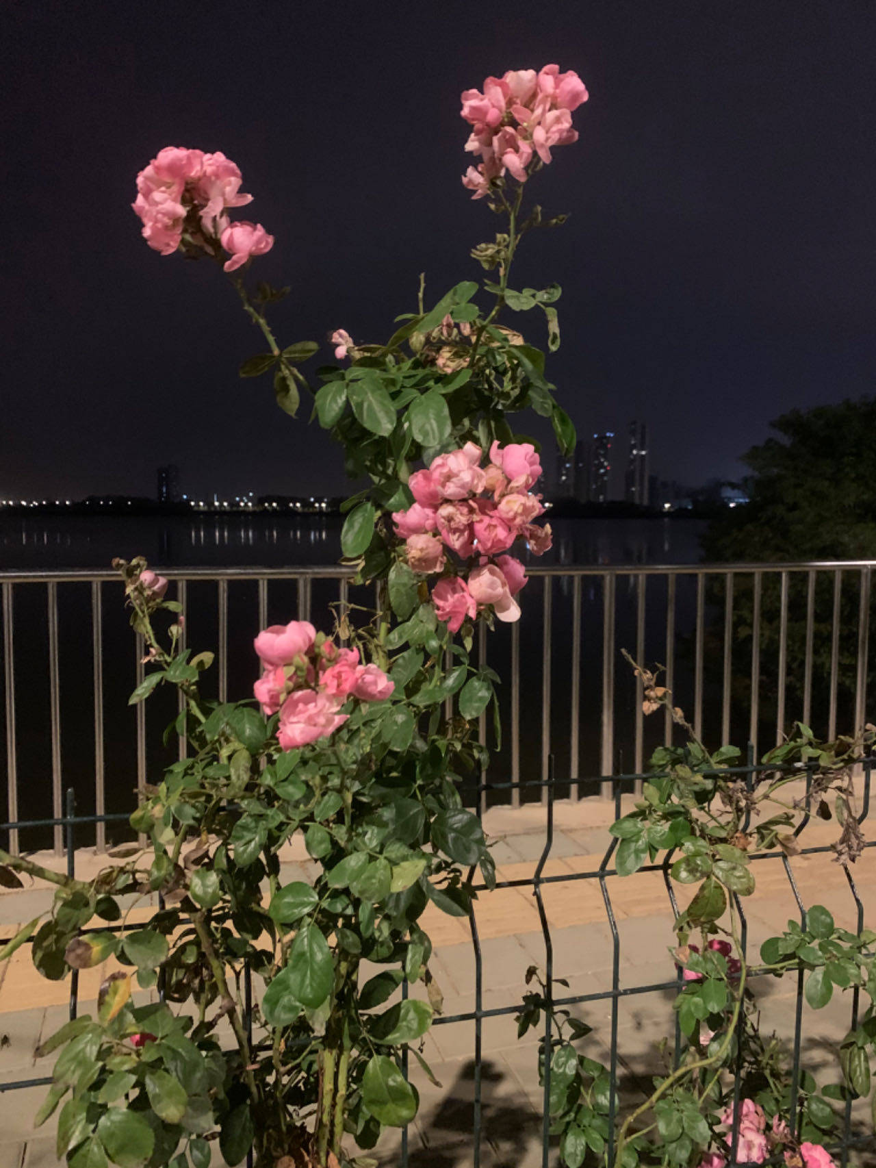 曼丽家居生活馆