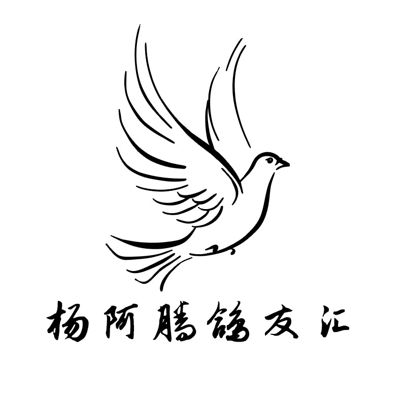 杨阿腾鸽友汇