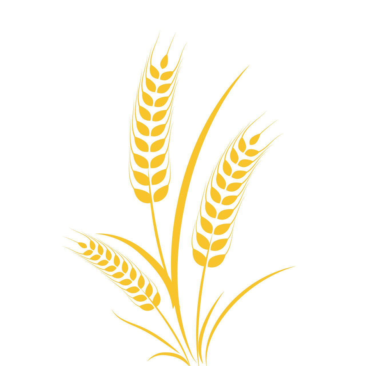 麦多工作室 店铺LOGO