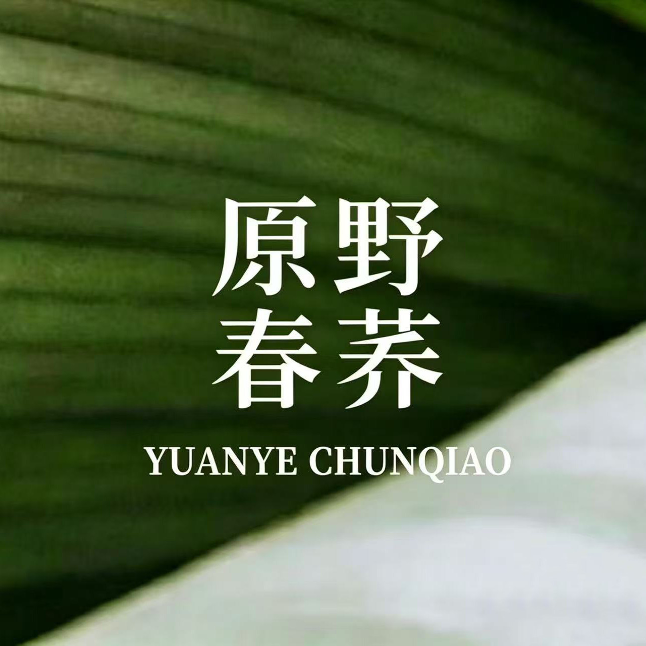 原野春荞 轻氧睡眠