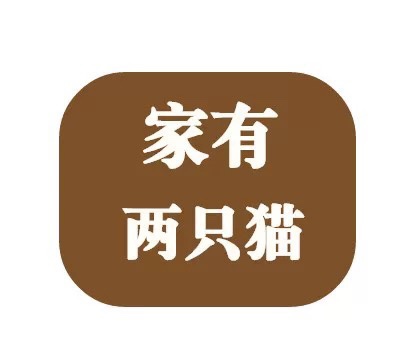 家有两只猫