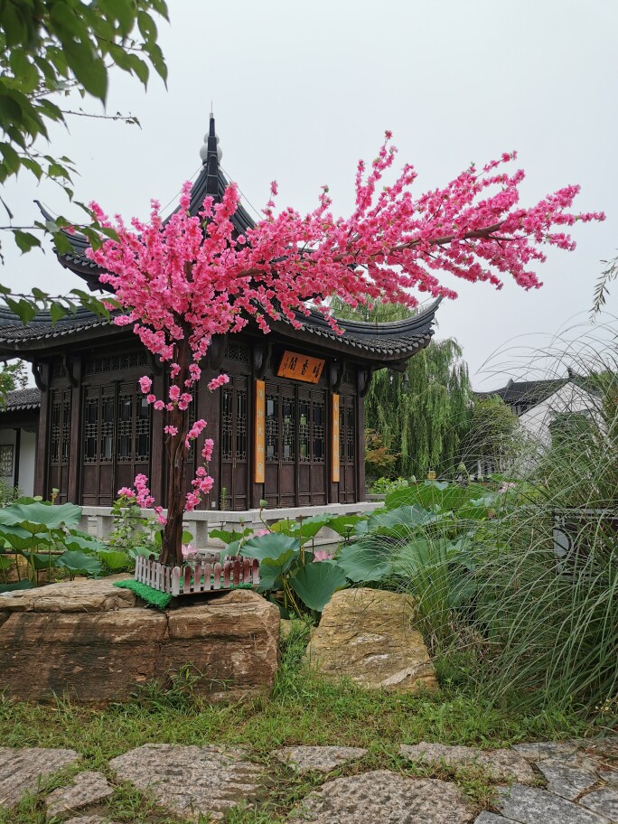 美都苗木有限公司