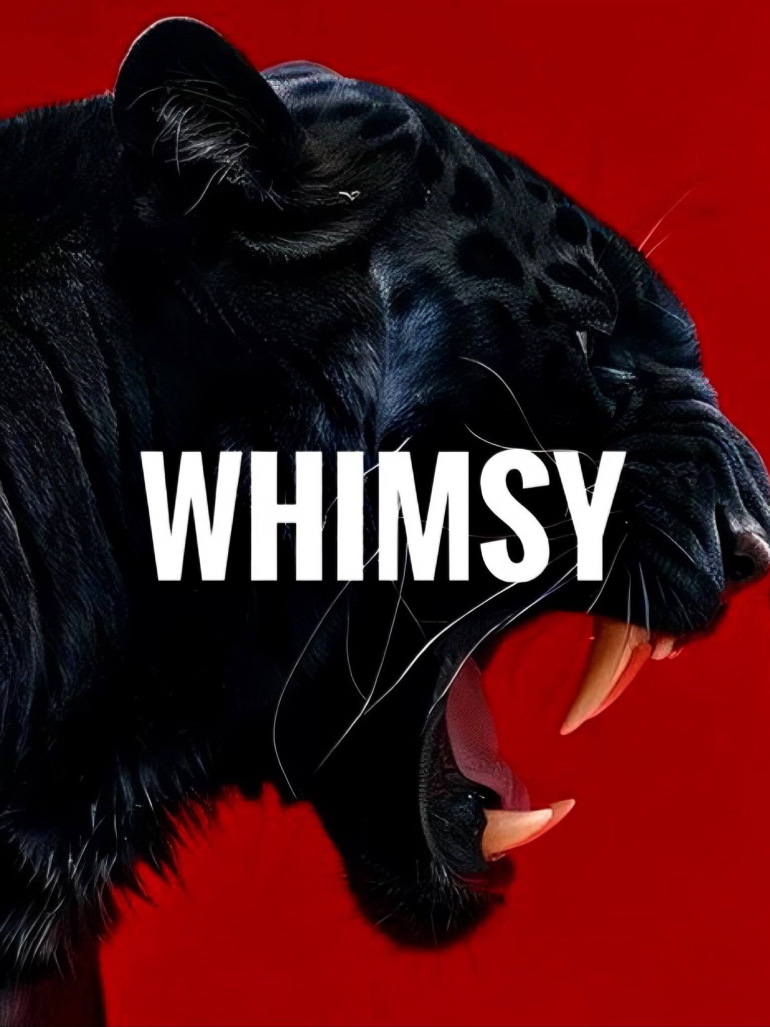 WHIMSYYY