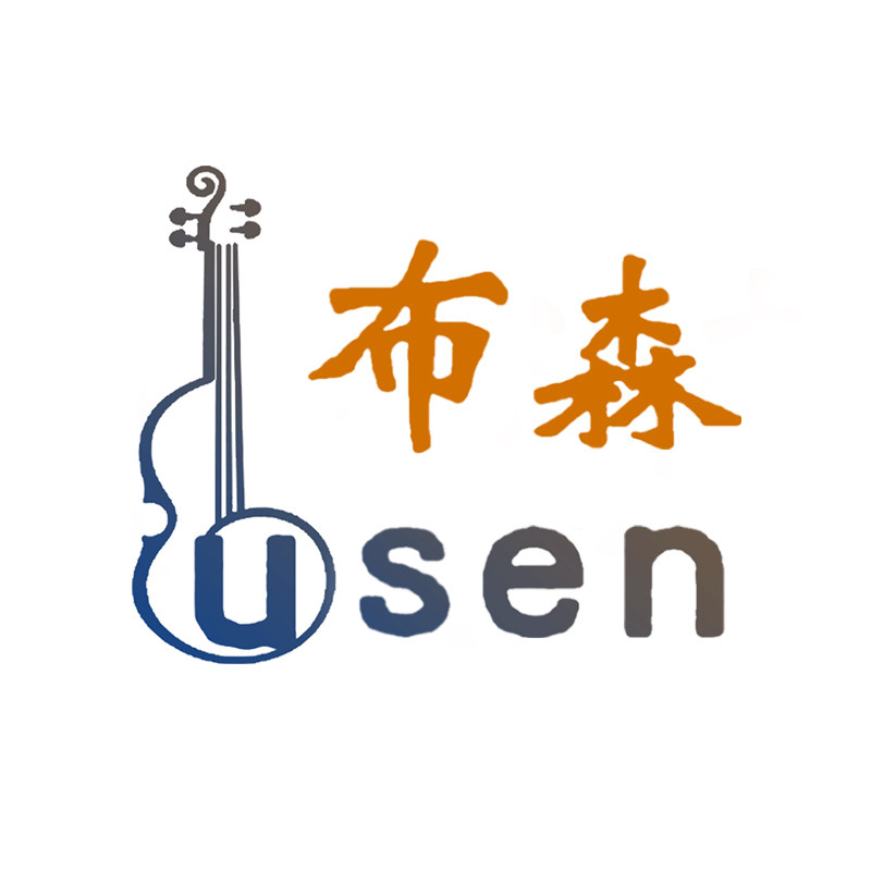 布森乐器旗舰店