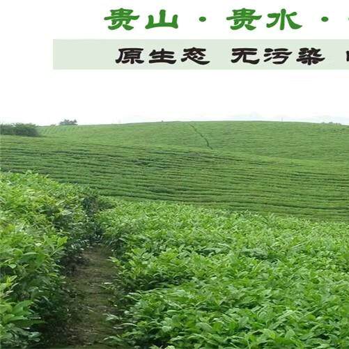 印江梵净山特产