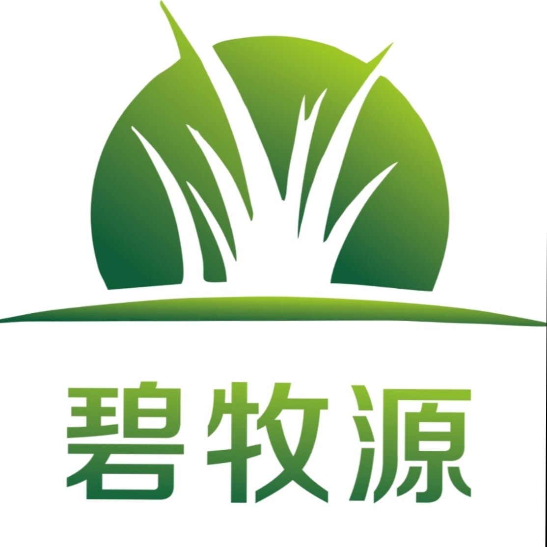 岷县碧牧源草场