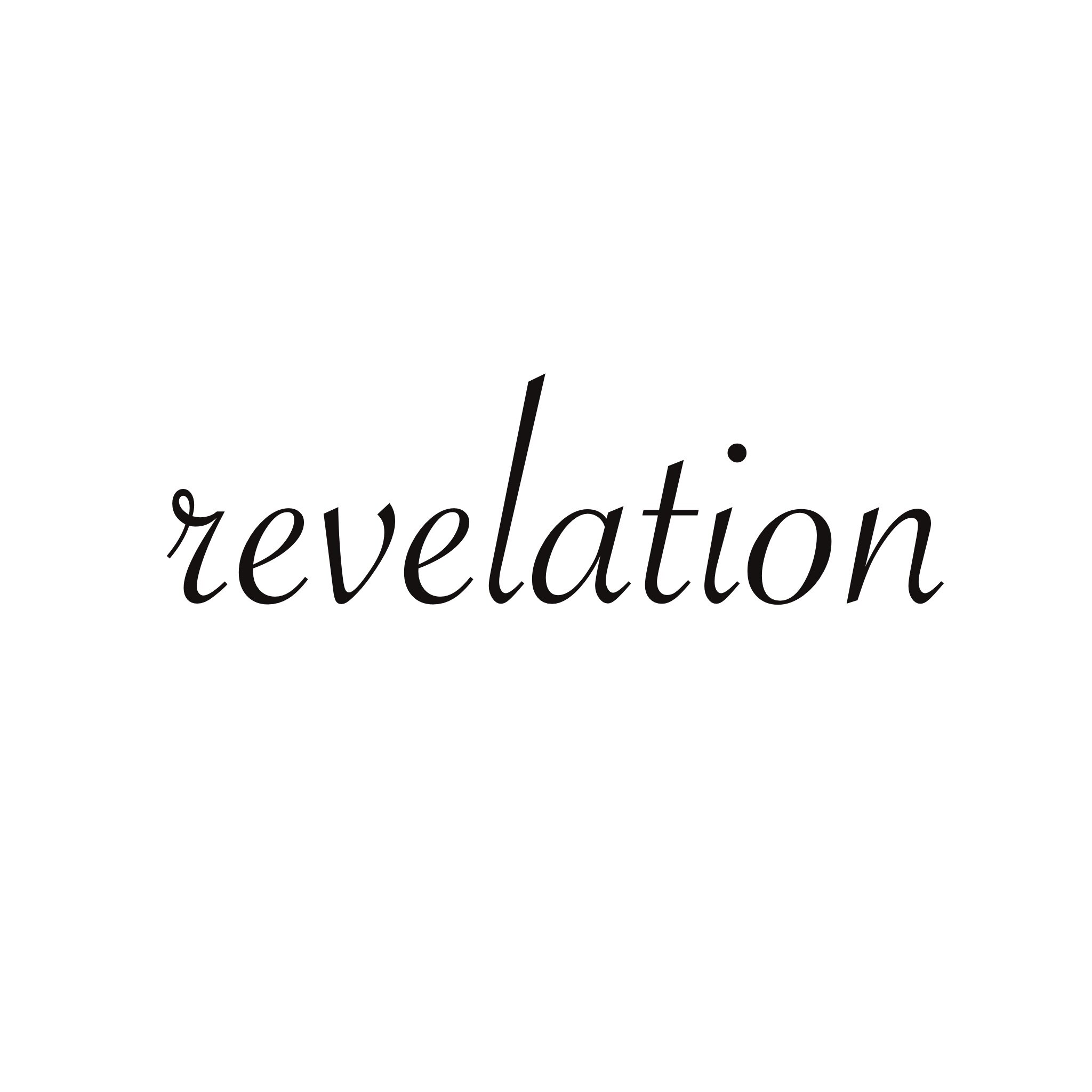 寻雾启示revelation
