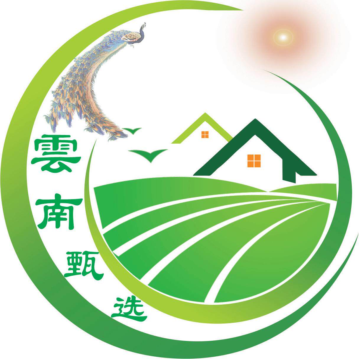 云南甄选网