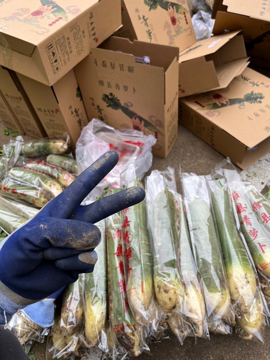 潍坊行政街萝卜老店