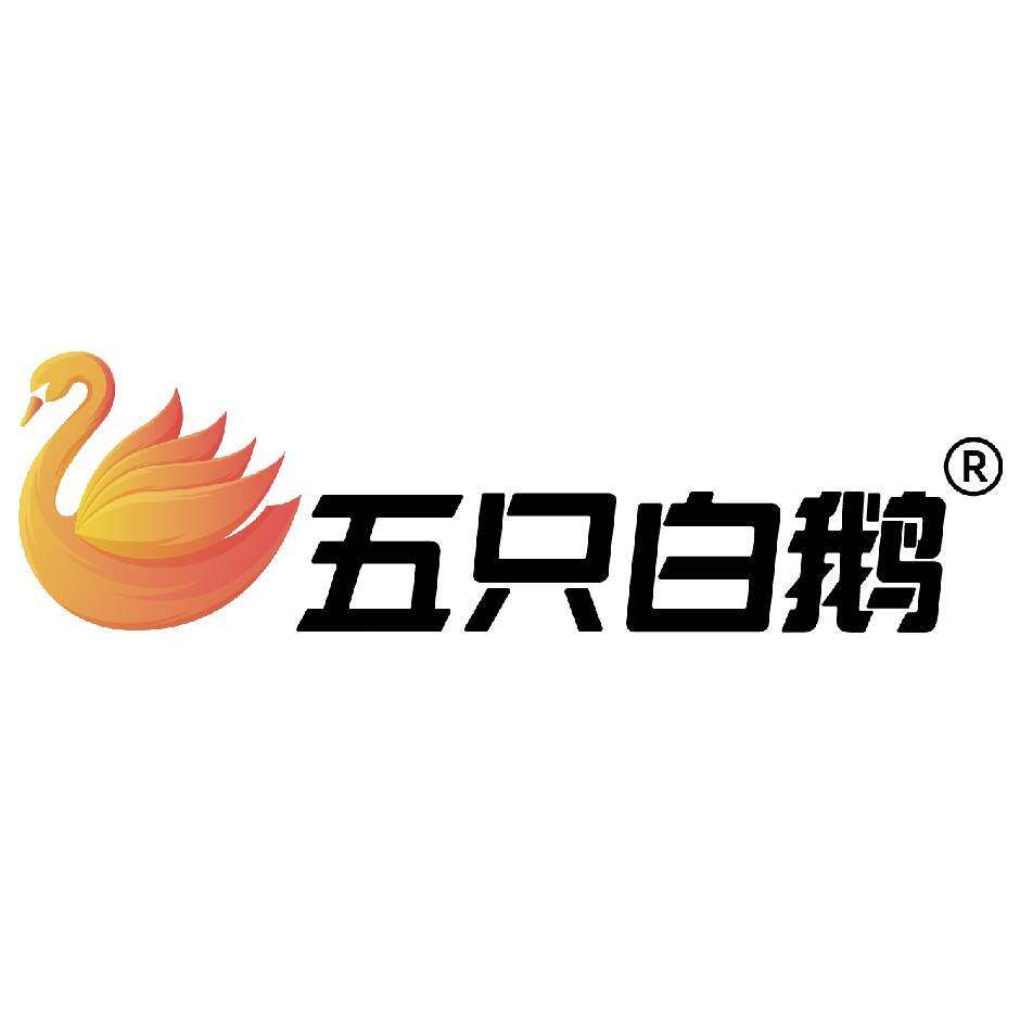 五只白鹅服饰工厂店 店铺LOGO