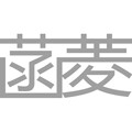 穿真丝 选菡菱