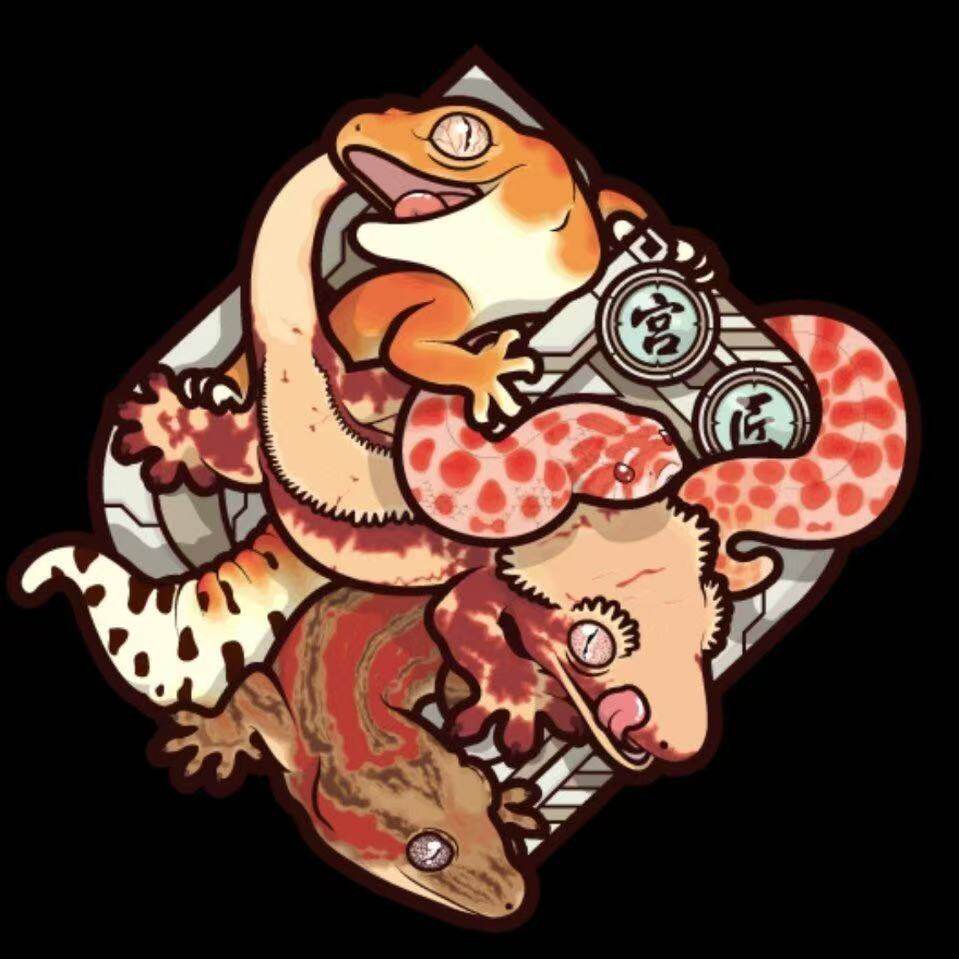 宫匠宠物