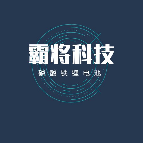 霸将磷酸铁锂电池工厂总店